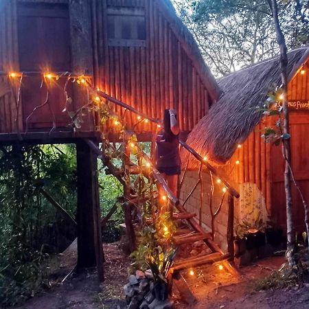 Sanctuaria Treehouses 부수안가 외부 사진