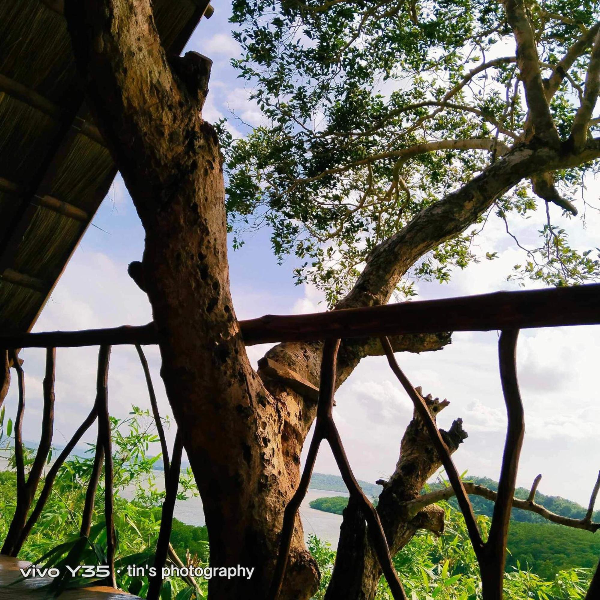 Sanctuaria Treehouses 부수안가 외부 사진