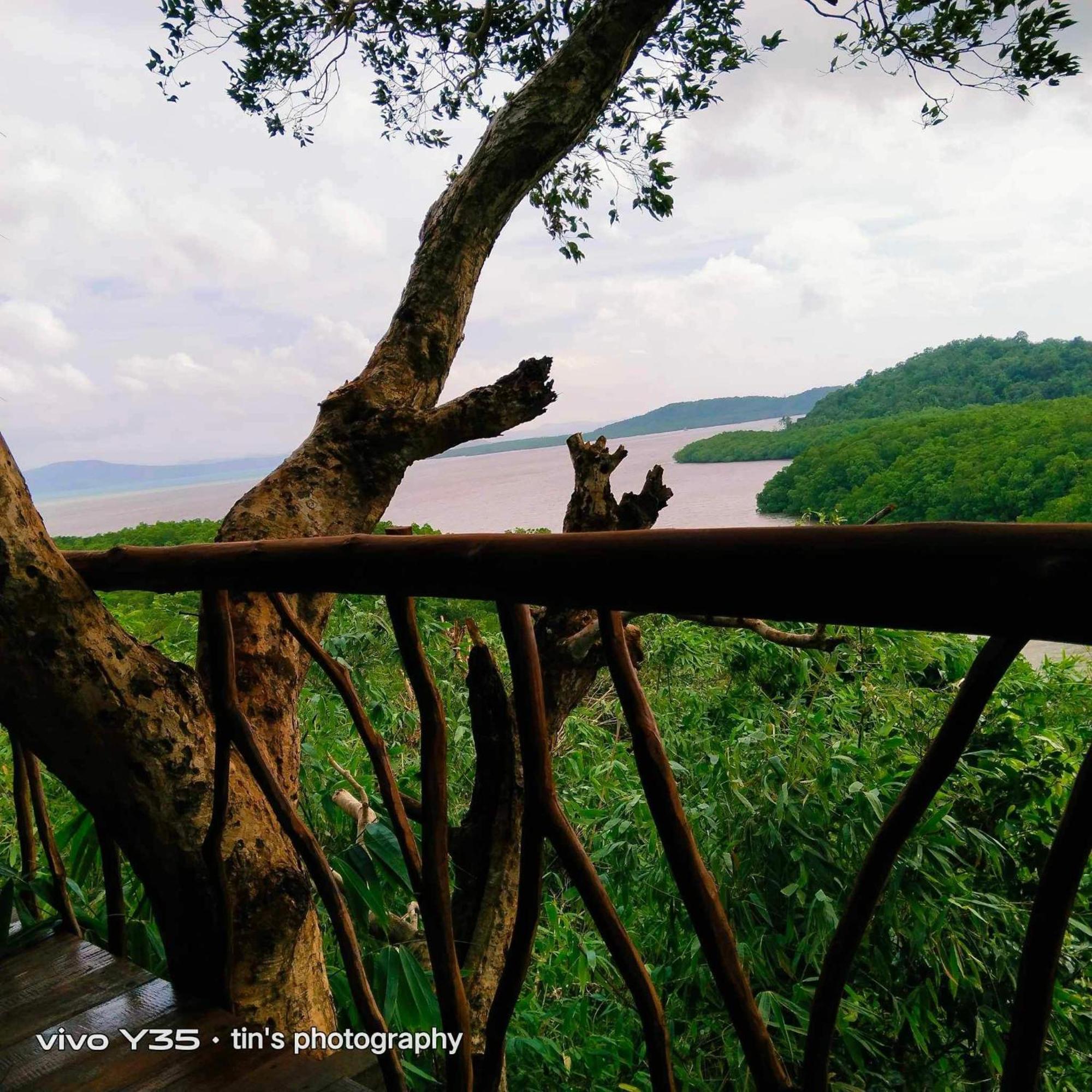 Sanctuaria Treehouses 부수안가 외부 사진