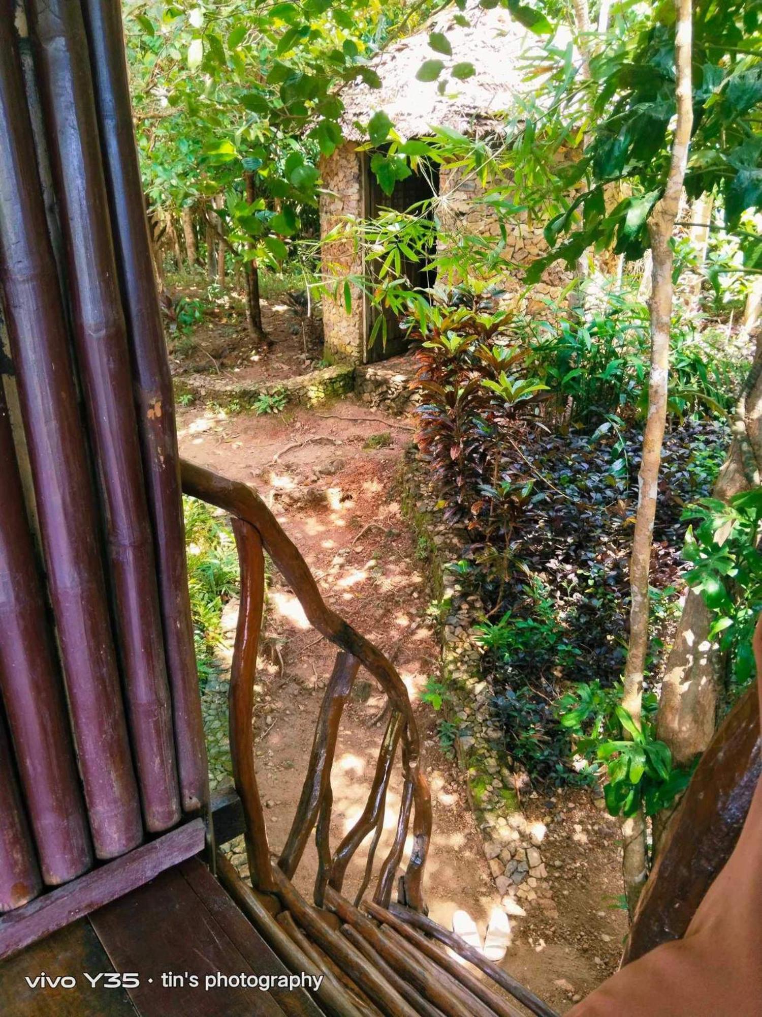 Sanctuaria Treehouses 부수안가 외부 사진