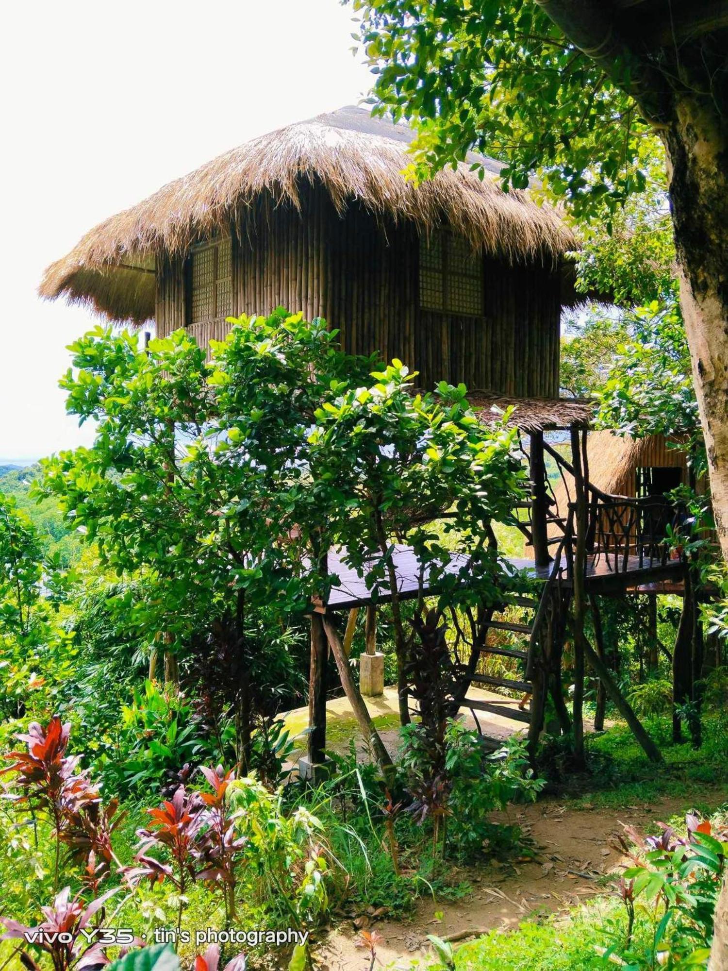 Sanctuaria Treehouses 부수안가 외부 사진