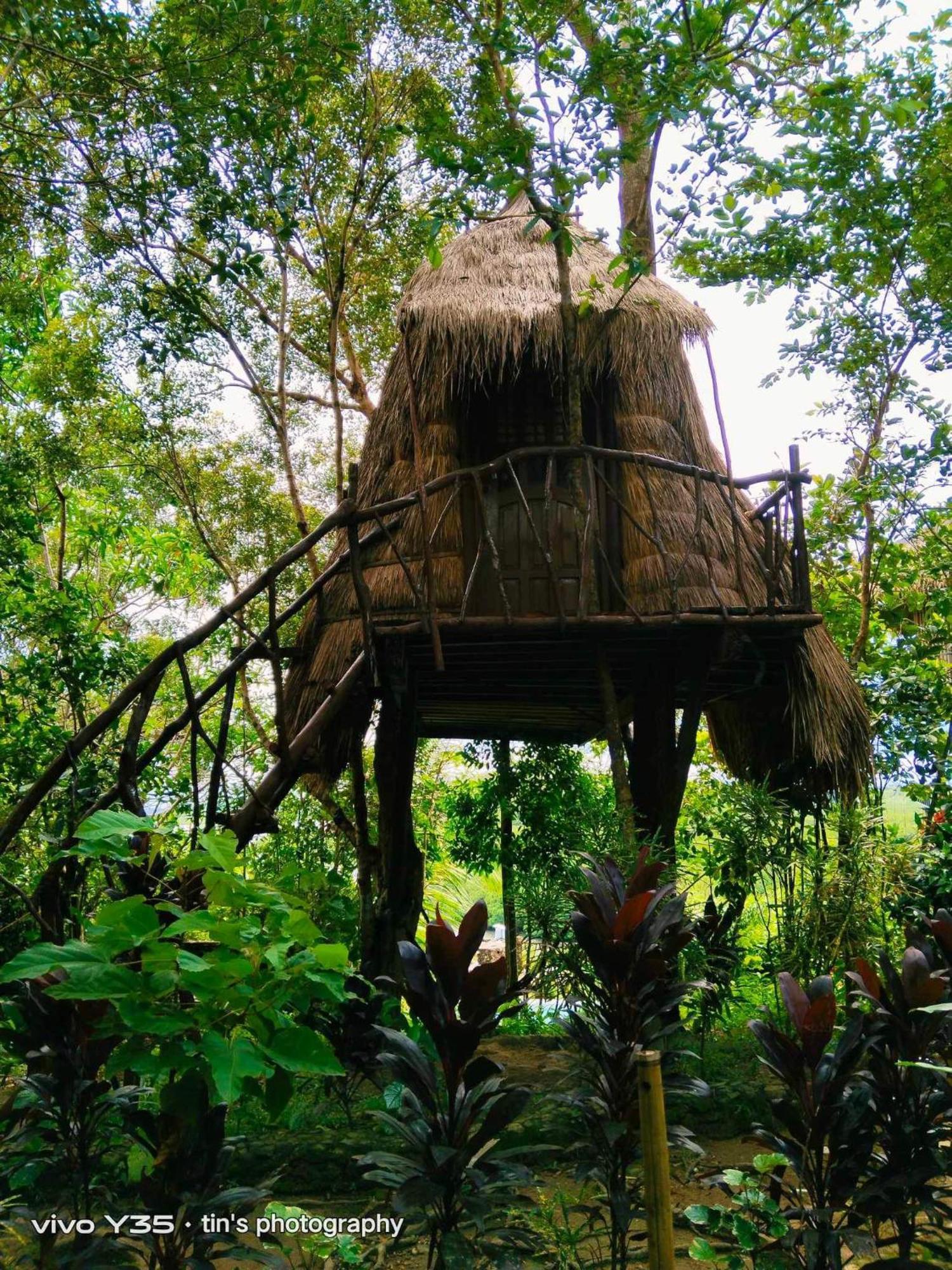 Sanctuaria Treehouses 부수안가 외부 사진