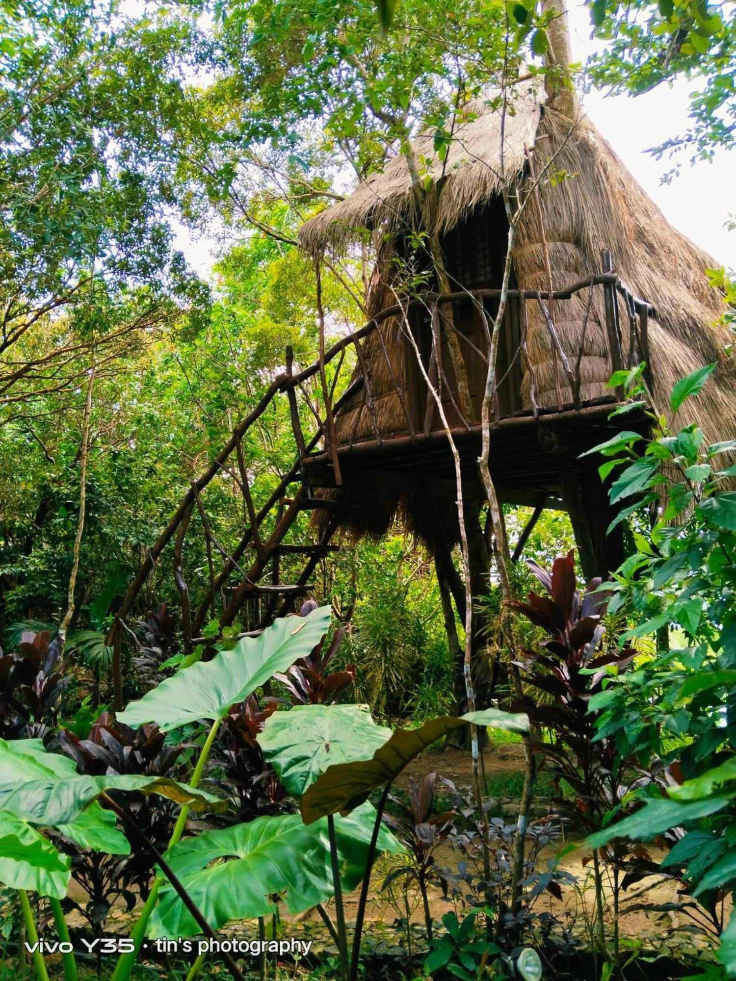 Sanctuaria Treehouses 부수안가 외부 사진