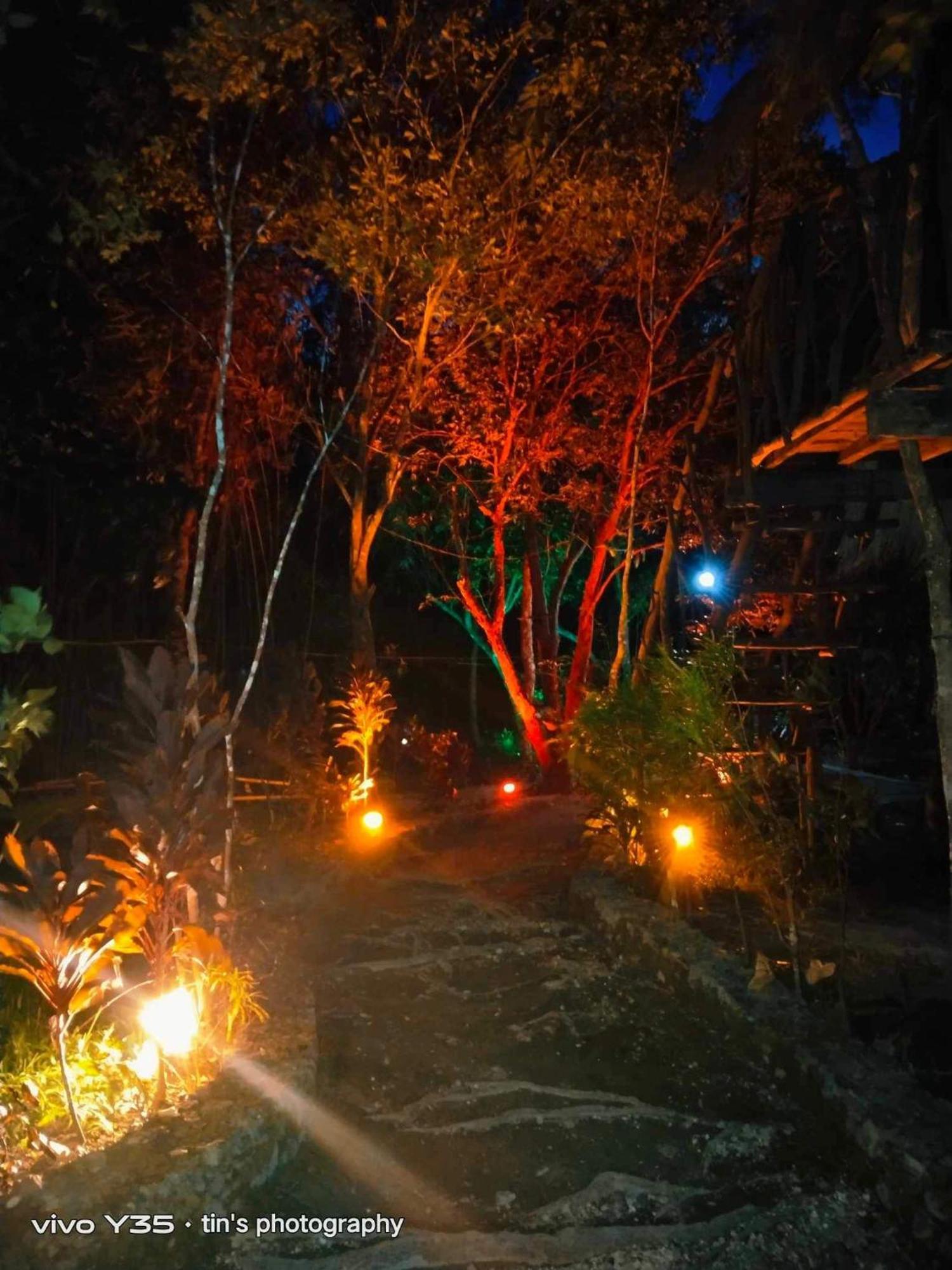 Sanctuaria Treehouses 부수안가 외부 사진