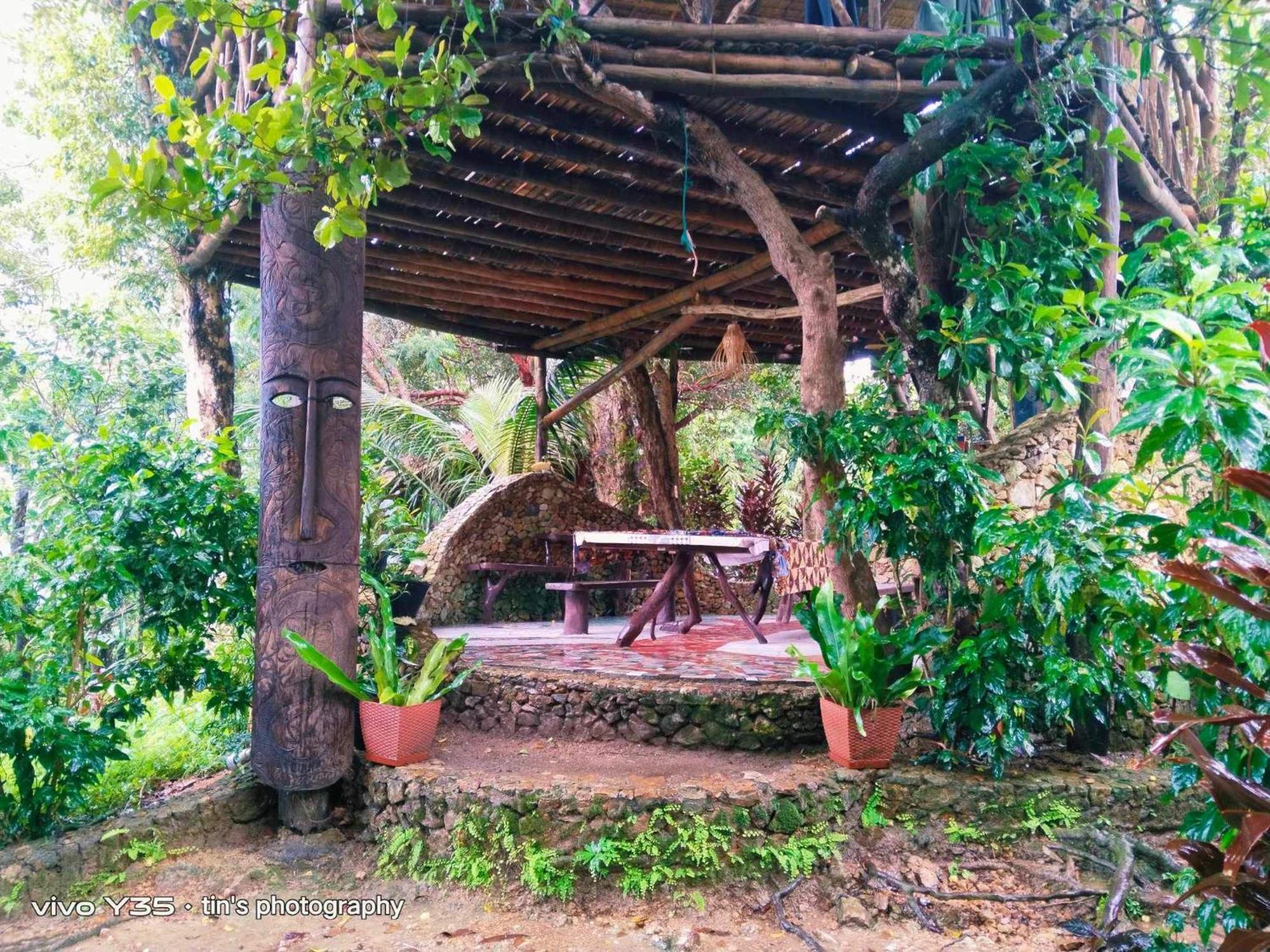 Sanctuaria Treehouses 부수안가 외부 사진