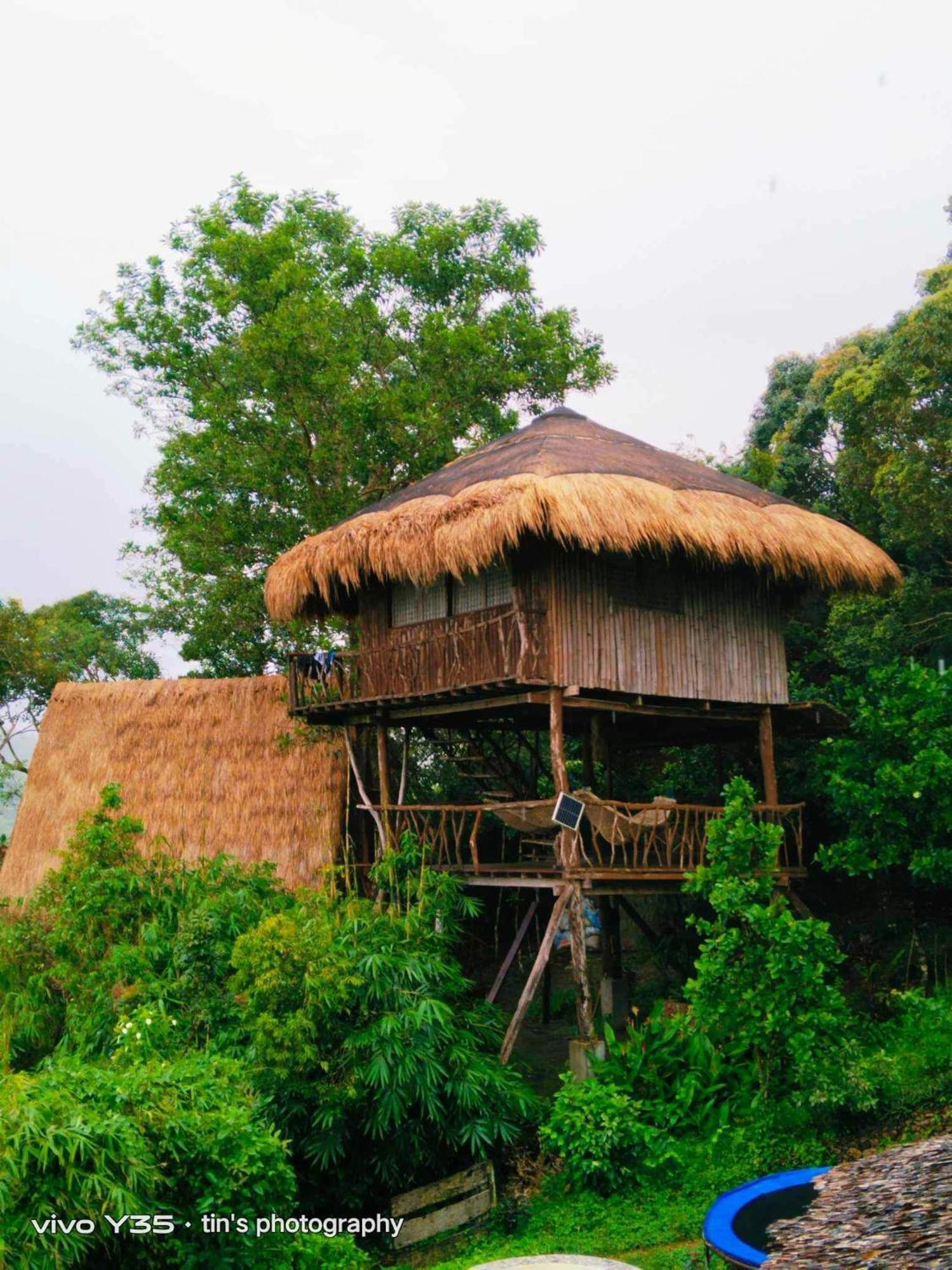 Sanctuaria Treehouses 부수안가 외부 사진