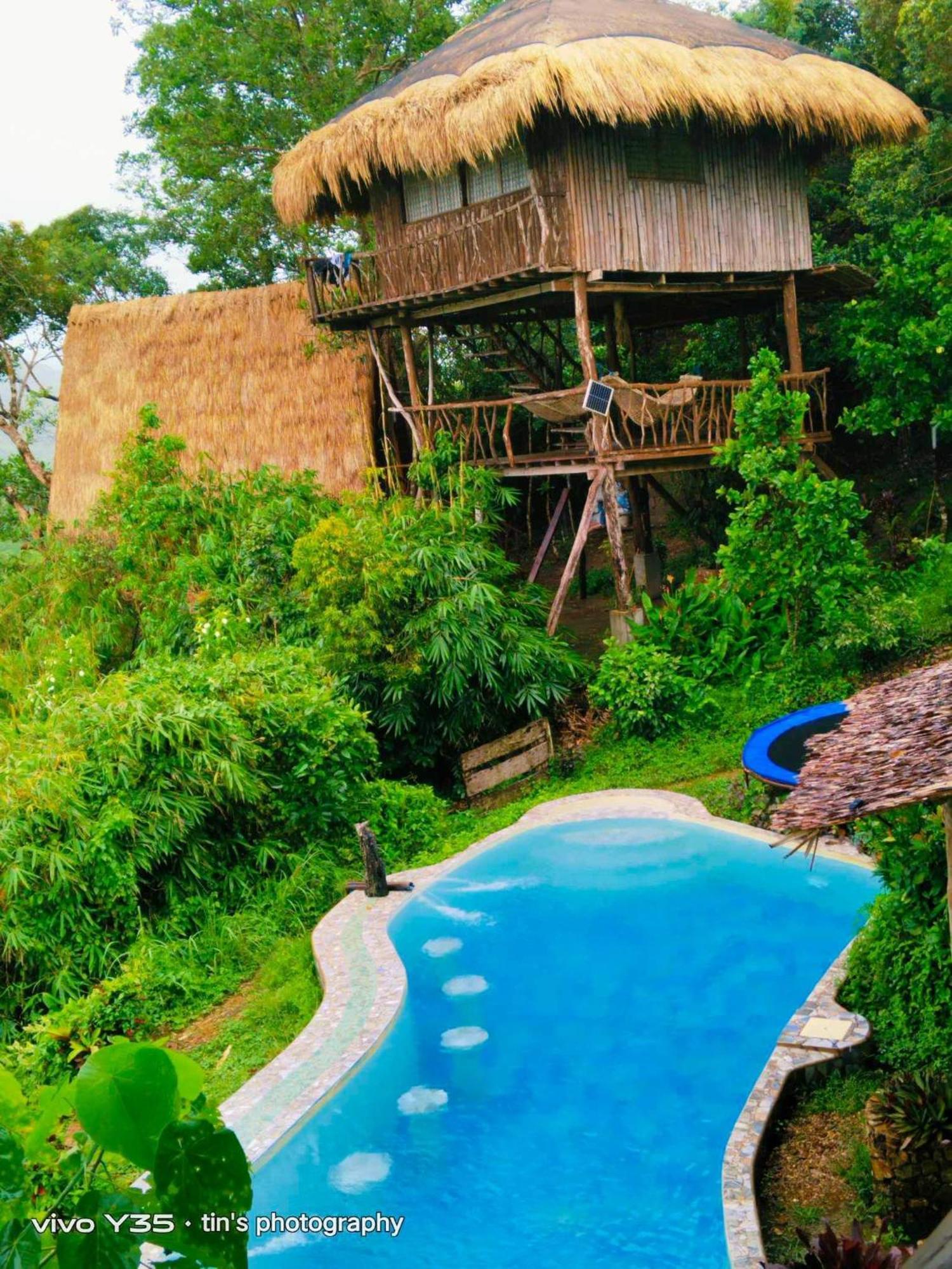 Sanctuaria Treehouses 부수안가 외부 사진