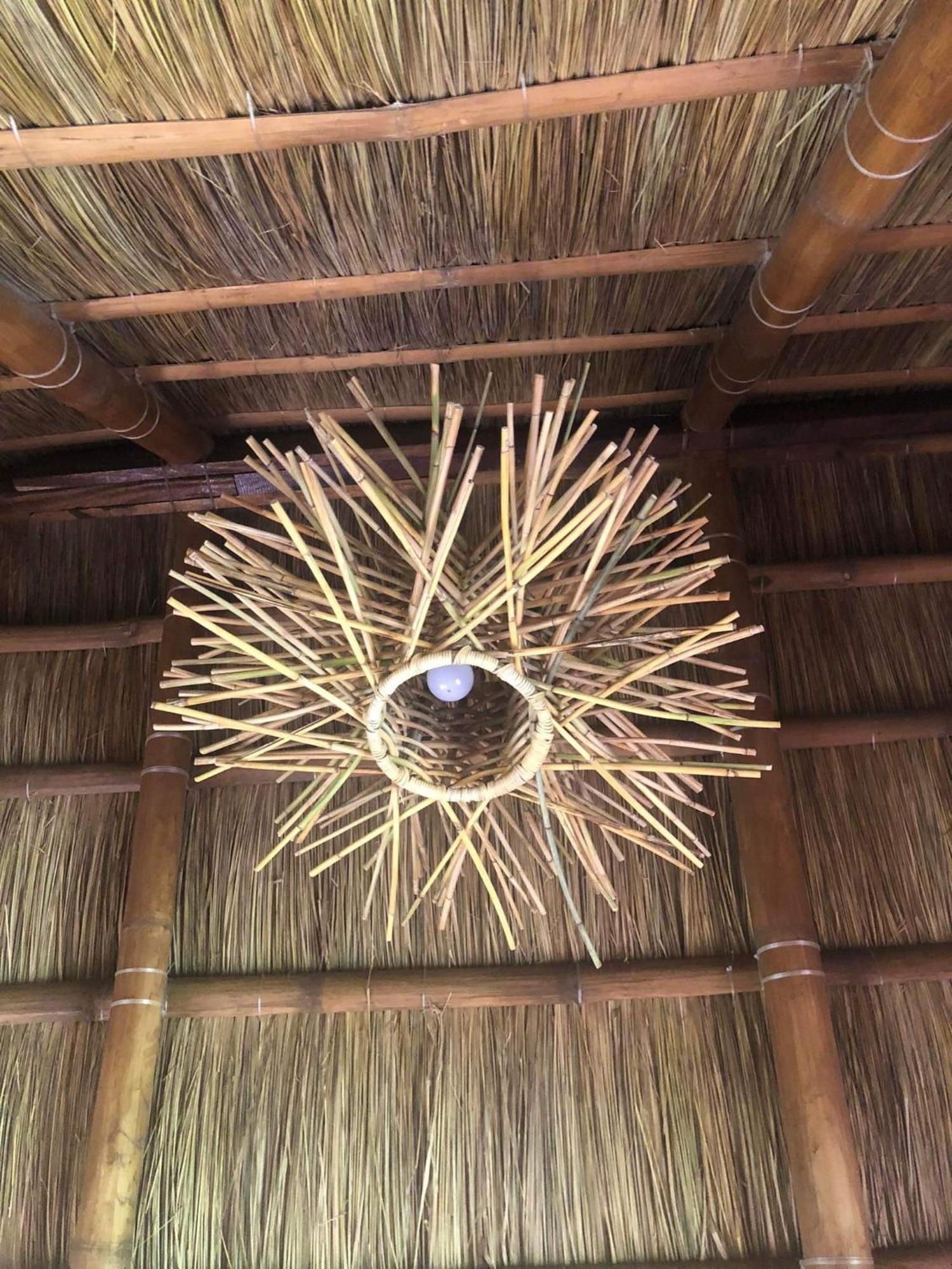 Sanctuaria Treehouses 부수안가 외부 사진