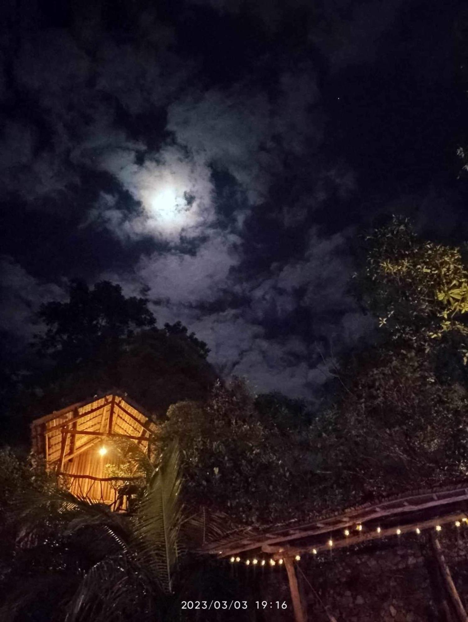 Sanctuaria Treehouses 부수안가 외부 사진