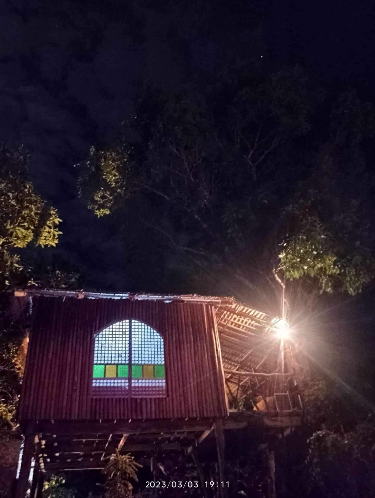 Sanctuaria Treehouses 부수안가 외부 사진