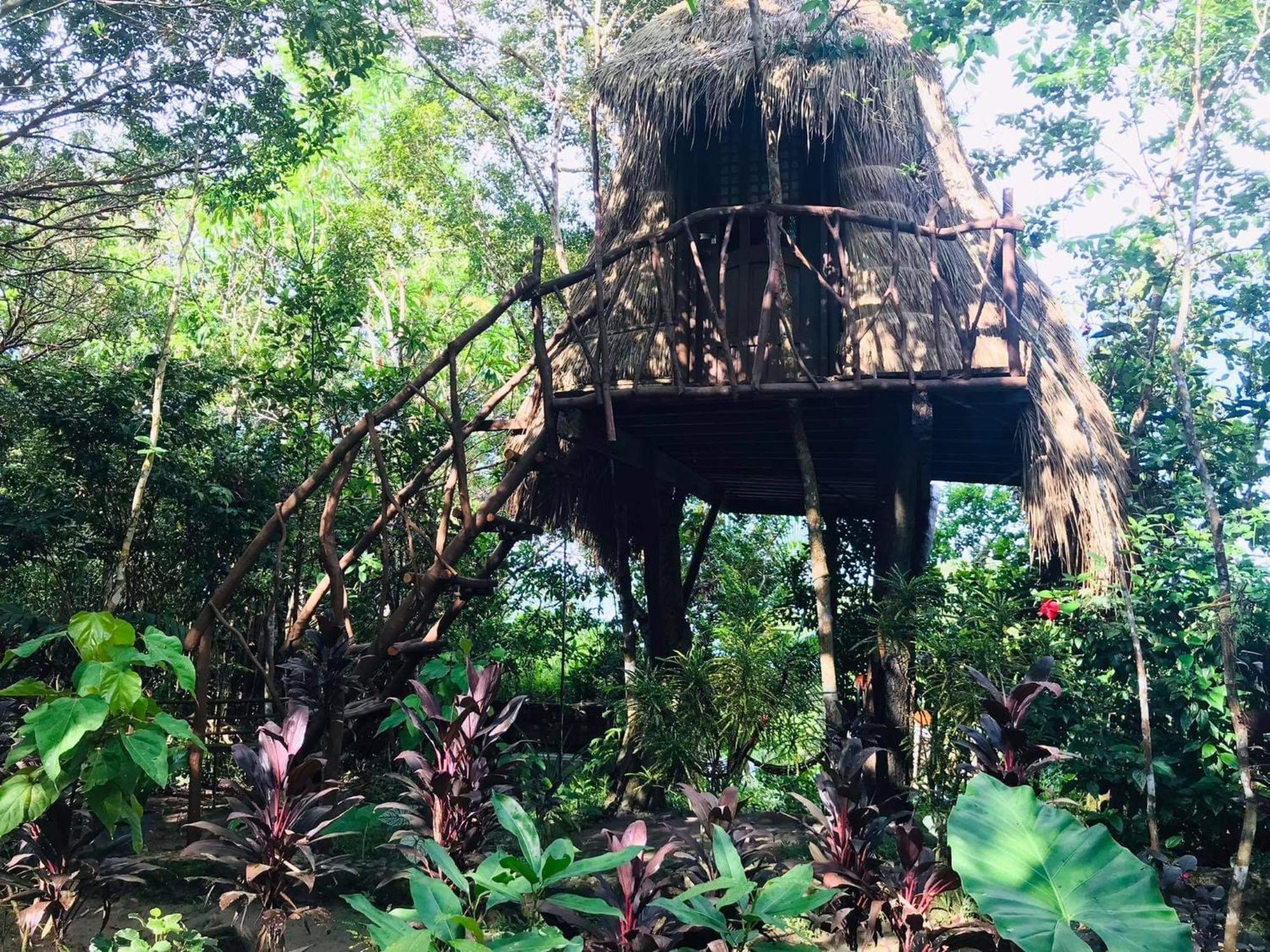 Sanctuaria Treehouses 부수안가 외부 사진