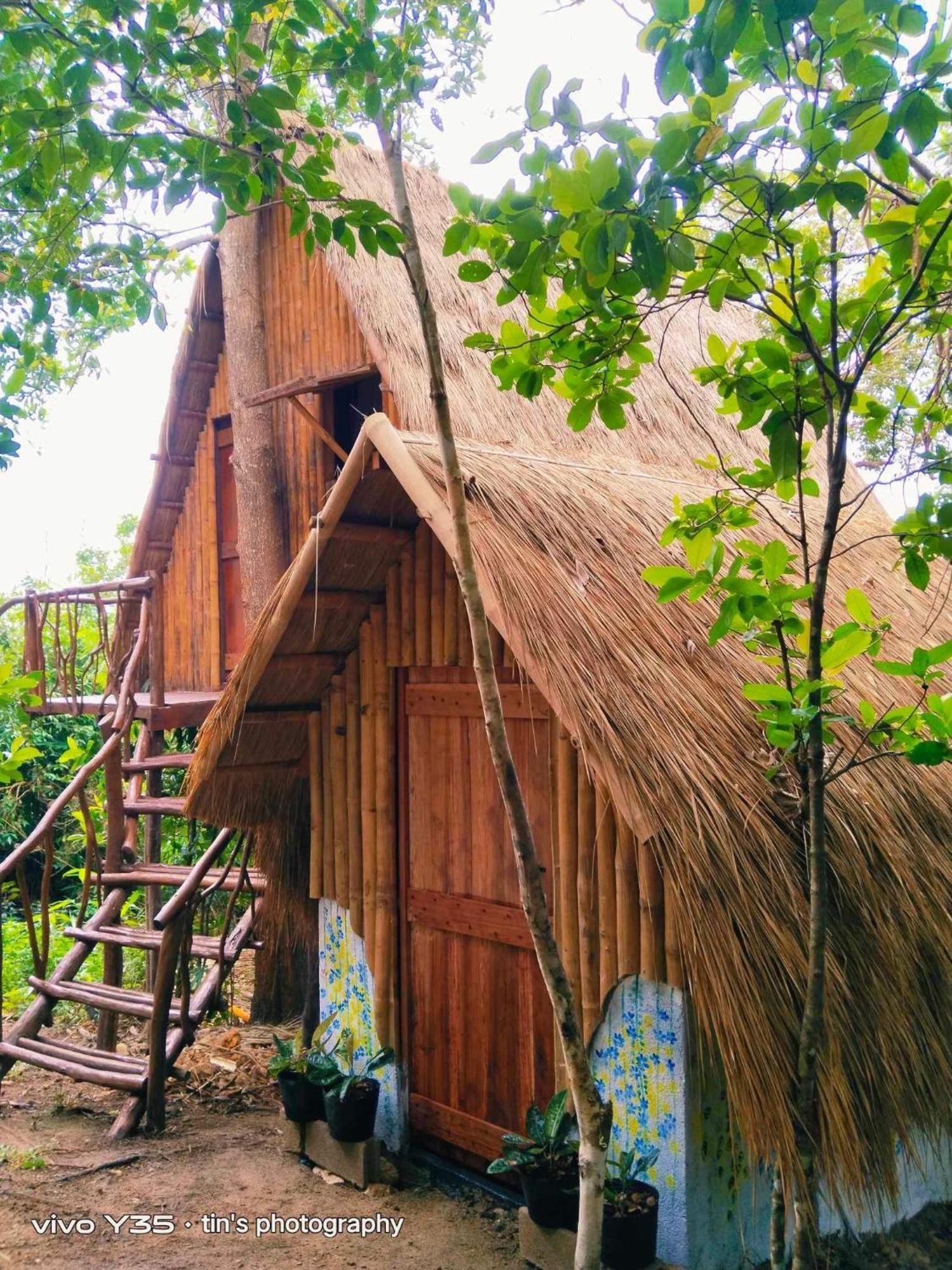 Sanctuaria Treehouses 부수안가 외부 사진