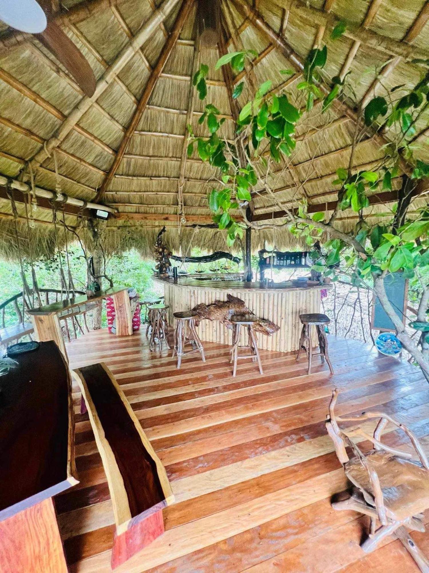 Sanctuaria Treehouses 부수안가 외부 사진