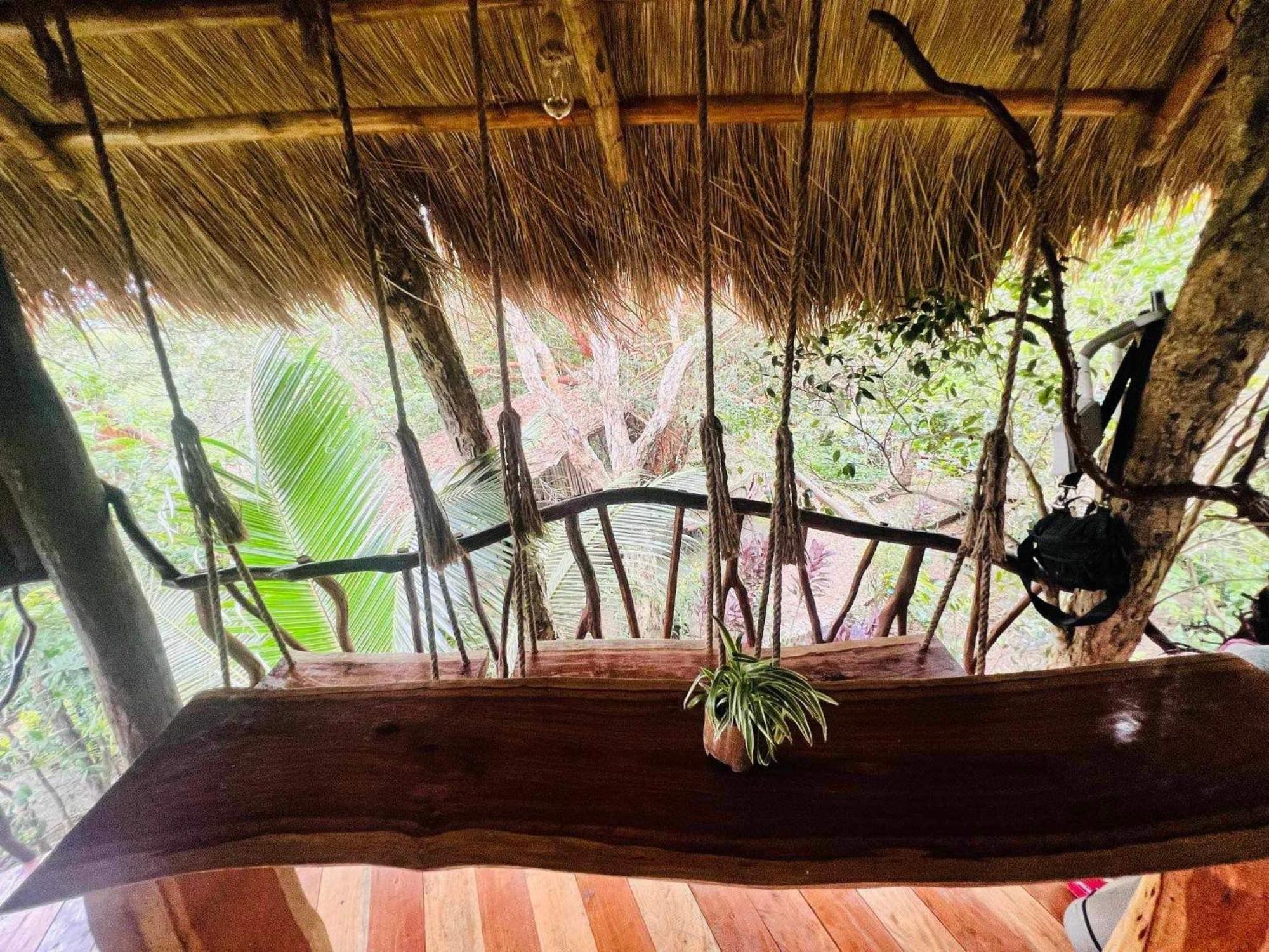 Sanctuaria Treehouses 부수안가 외부 사진