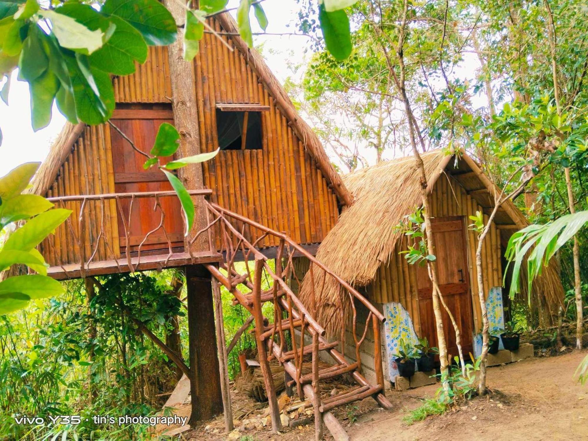 Sanctuaria Treehouses 부수안가 외부 사진